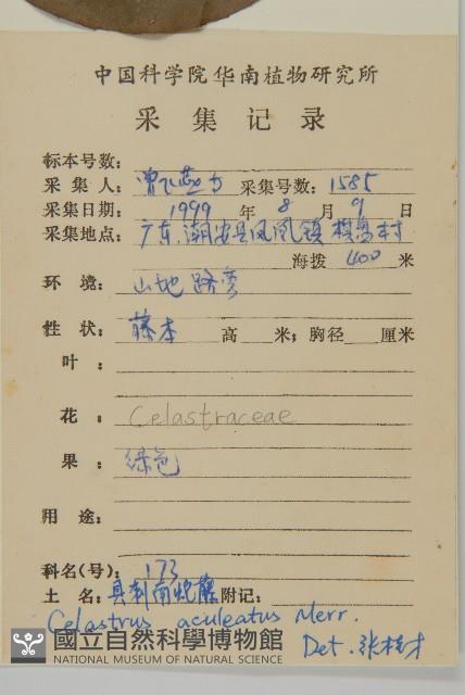 過山楓藏品圖，第2張