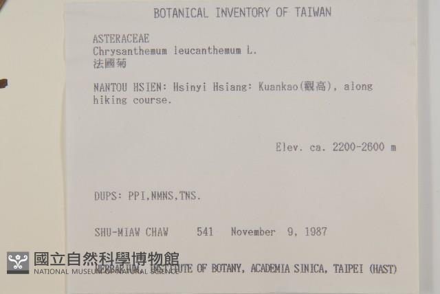 法國菊藏品圖，第2張