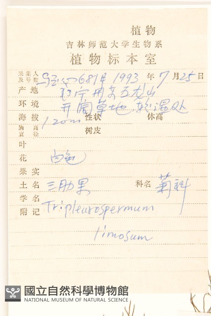 三肋果藏品圖，第2張