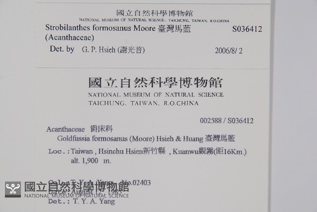 臺灣馬藍藏品圖，第2張