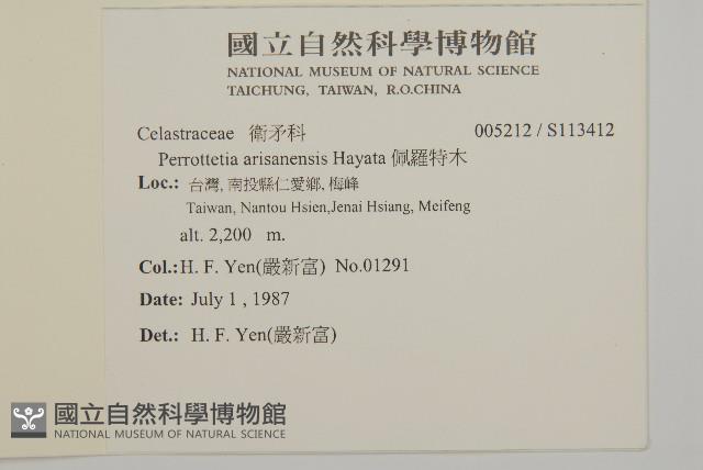 佩羅特木藏品圖，第2張