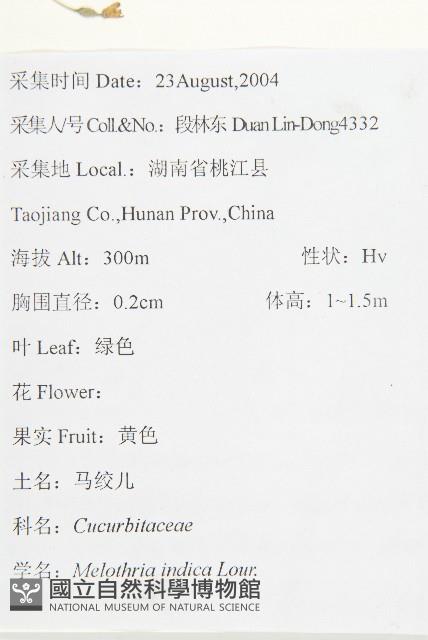 老鼠冬瓜藏品圖，第2張