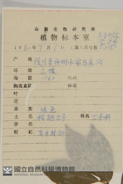 衛矛藏品圖，第2張