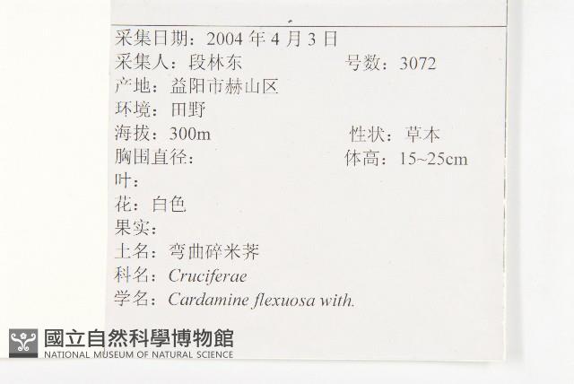 焊菜藏品圖，第2張