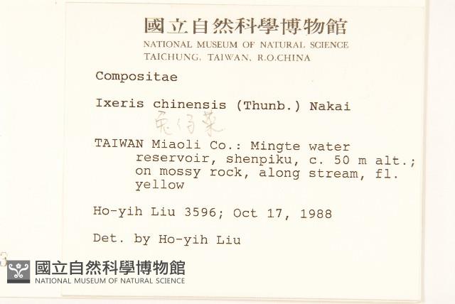 兔仔菜藏品圖，第2張