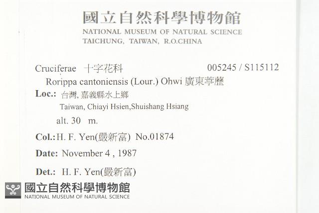 廣東葶藶藏品圖，第2張