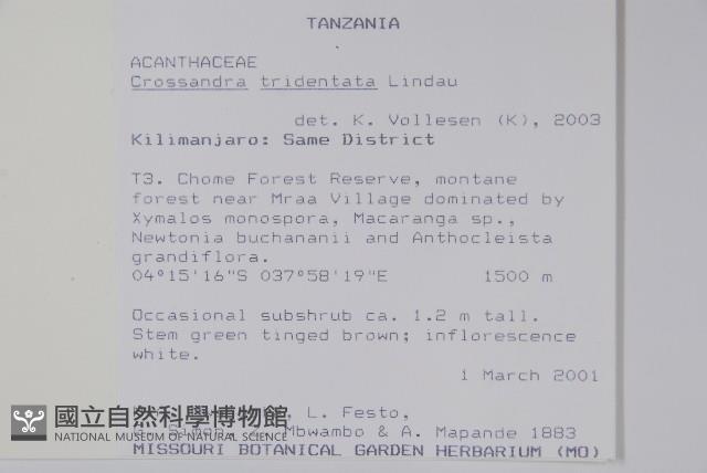 登錄號:S097112藏品圖，第2張