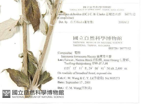 臺灣青木香藏品圖，第2張