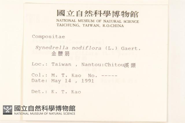 金腰箭藏品圖，第2張