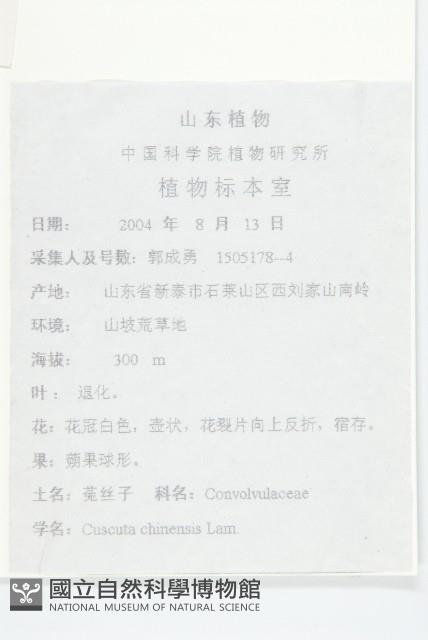 中國菟絲子藏品圖，第2張