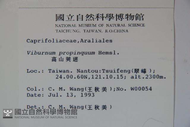 高山莢迷藏品圖，第2張