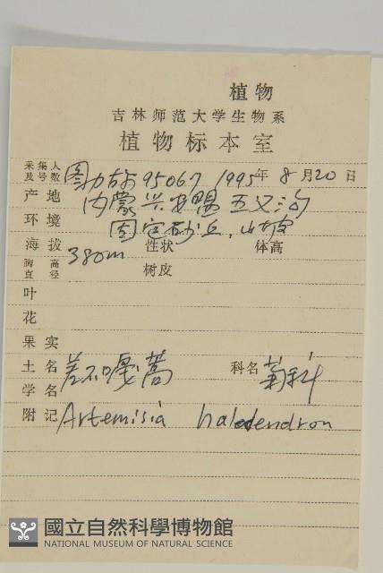 鹽蒿藏品圖，第2張