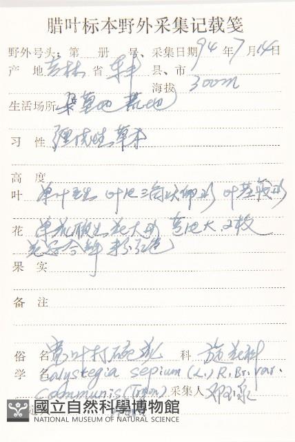 寬葉打碗花藏品圖，第2張