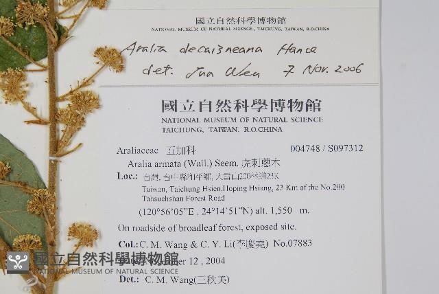 鵲不踏藏品圖，第5張