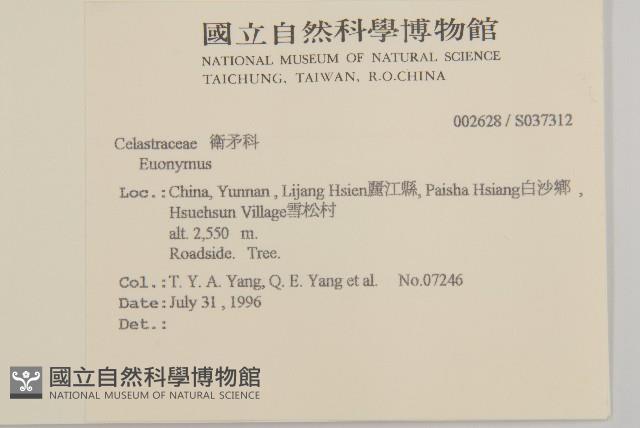 登錄號:S037312藏品圖，第2張