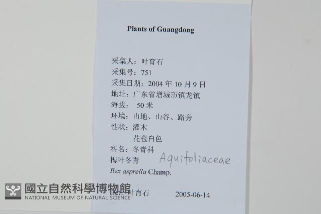 燈稱花、烏雞骨藏品圖，第2張