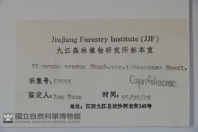 登錄號:S023812藏品圖，第2張