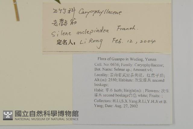 老鸛筋藏品圖，第2張