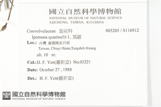 蔦蘿藏品圖，第2張