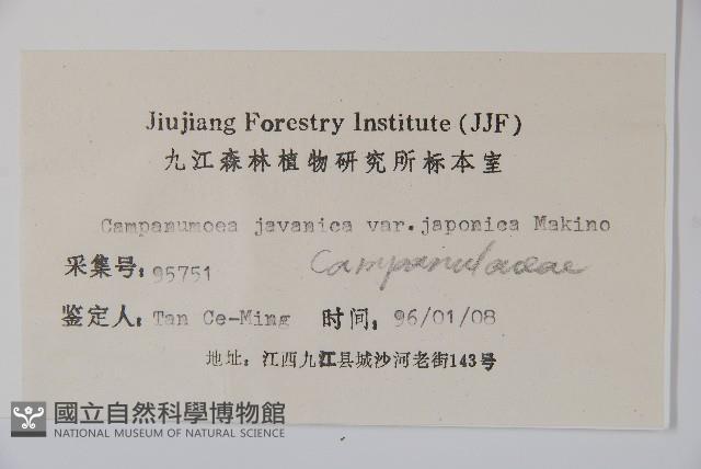 金錢豹藏品圖，第2張