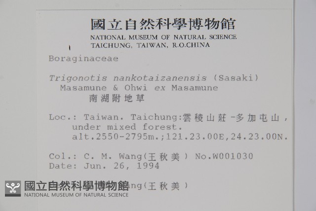 南湖附地草藏品圖，第2張