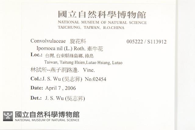 牽牛花藏品圖，第2張
