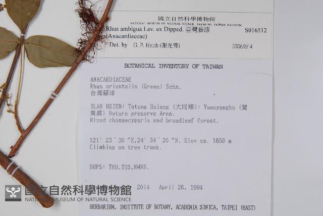 臺灣藤漆藏品圖，第2張