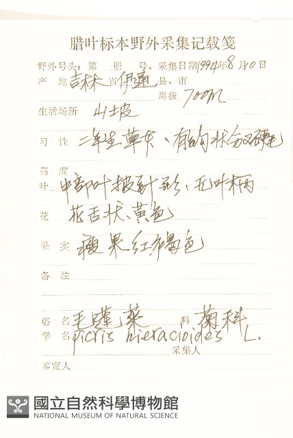 毛蓮菜藏品圖，第2張