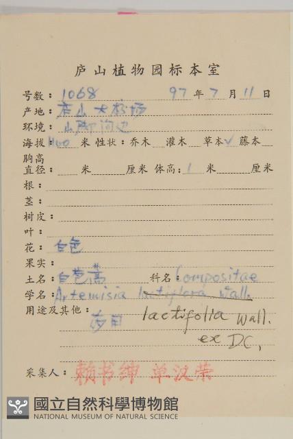 角菜、珍珠菜藏品圖，第2張