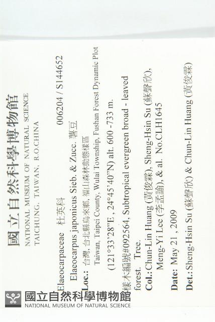 薯豆藏品圖，第2張