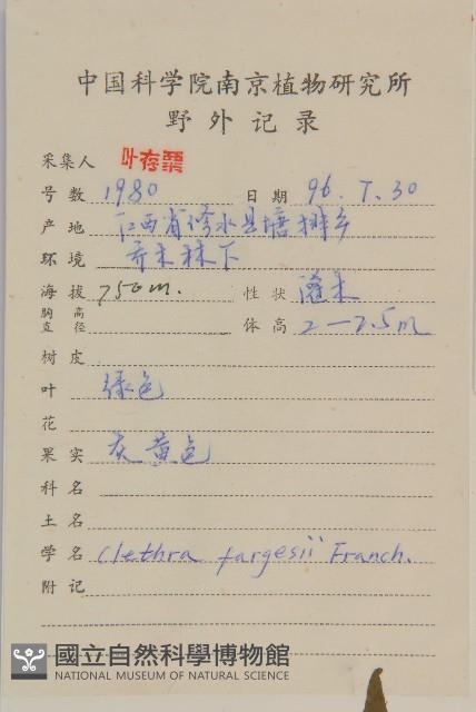 華中山柳藏品圖，第2張