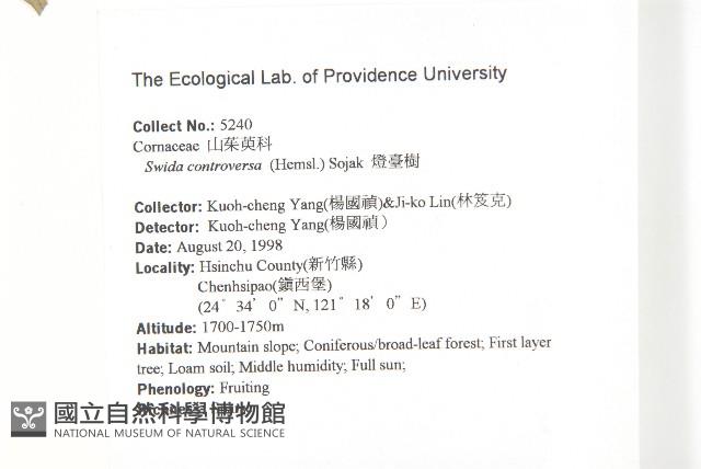 燈台樹藏品圖，第2張