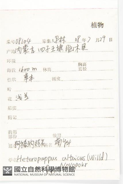 阿爾泰狗哇花藏品圖，第2張