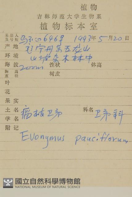 瘤枝衛矛藏品圖，第2張