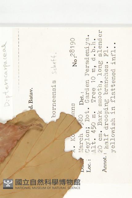 登錄號:S047052藏品圖，第2張