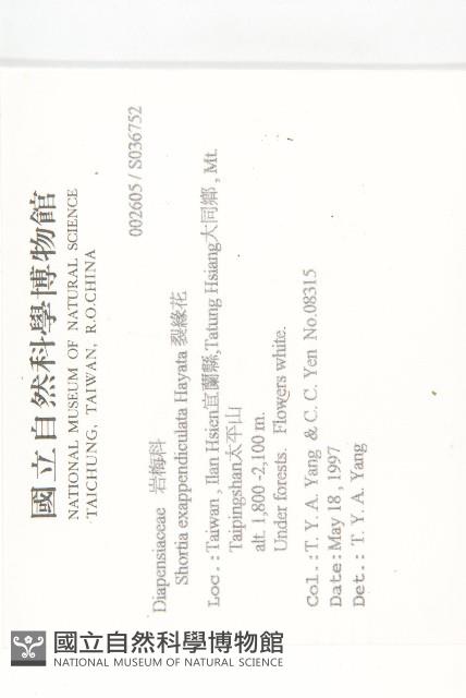 裂緣花藏品圖，第2張