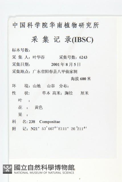 黃鵪菜藏品圖，第2張