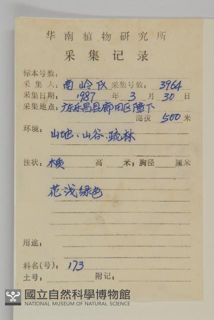 南華南蛇藤，青江藤藏品圖，第2張