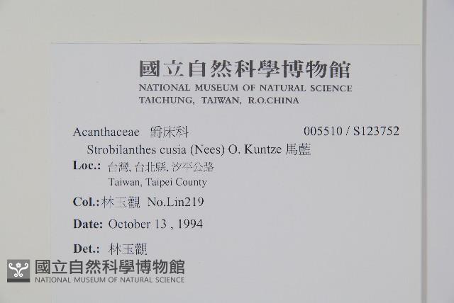 臺灣馬藍藏品圖，第2張