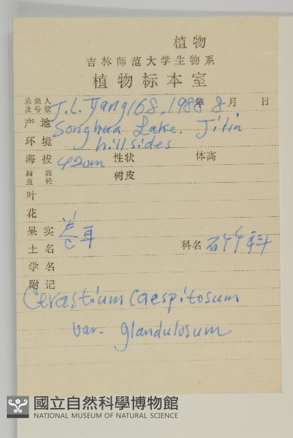 卷耳藏品圖，第2張