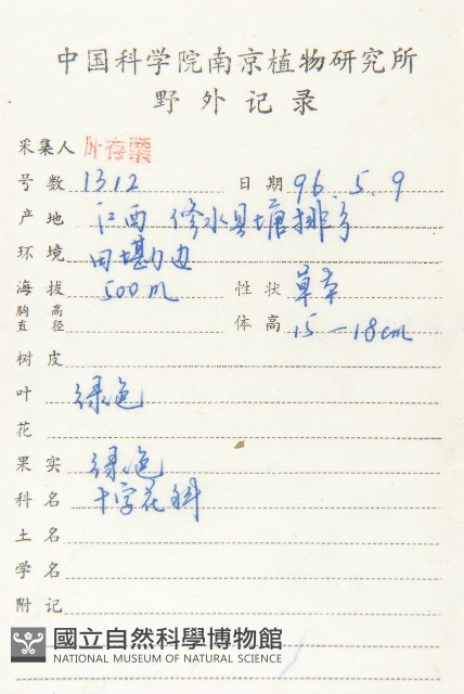 廣東葶藶藏品圖，第2張