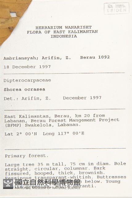 登錄號:S055252藏品圖，第2張