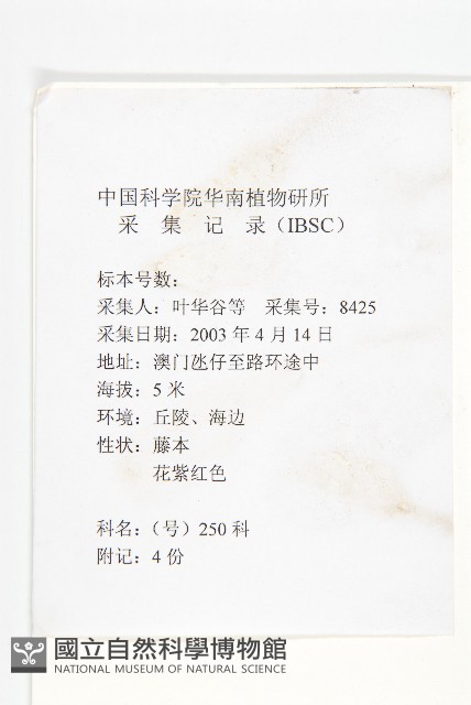 登錄號:S127252藏品圖，第2張