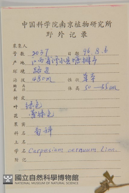 杓兒菜藏品圖，第2張