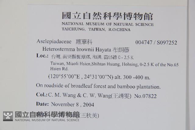 布朗藤藏品圖，第2張