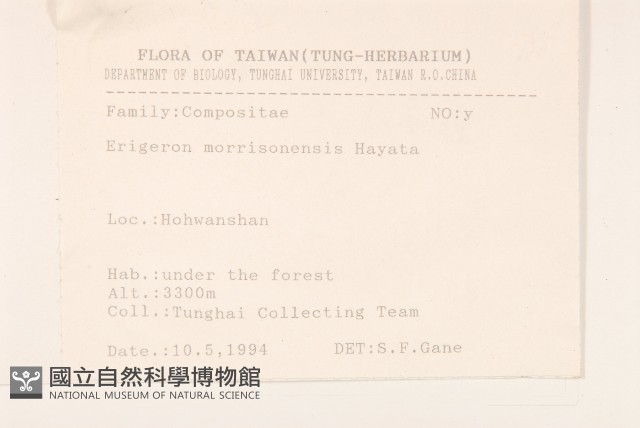 玉山飛蓬藏品圖，第2張
