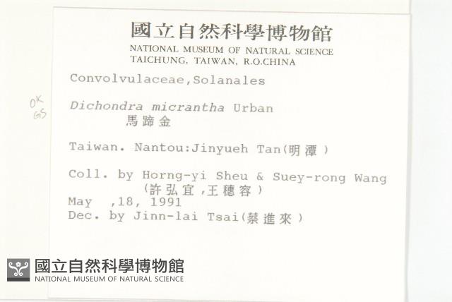 馬蹄金藏品圖，第2張