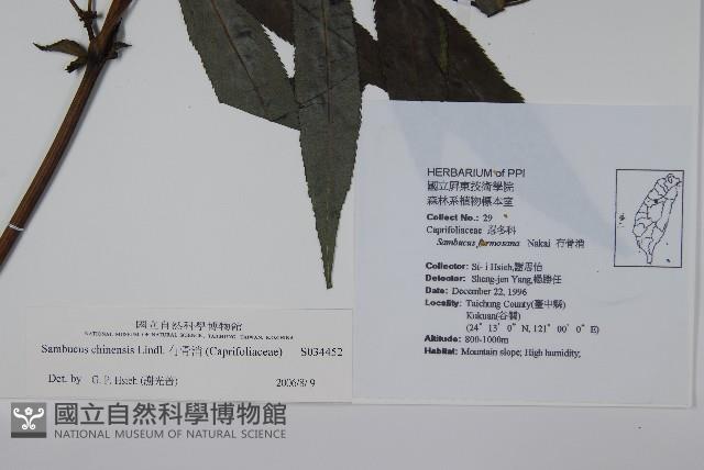 冇骨消藏品圖，第2張