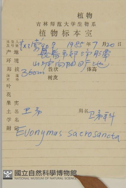 衛矛藏品圖，第2張