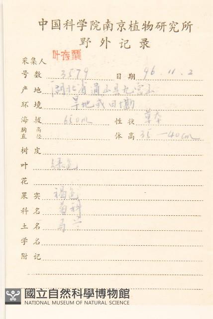 雞兒腸藏品圖，第2張